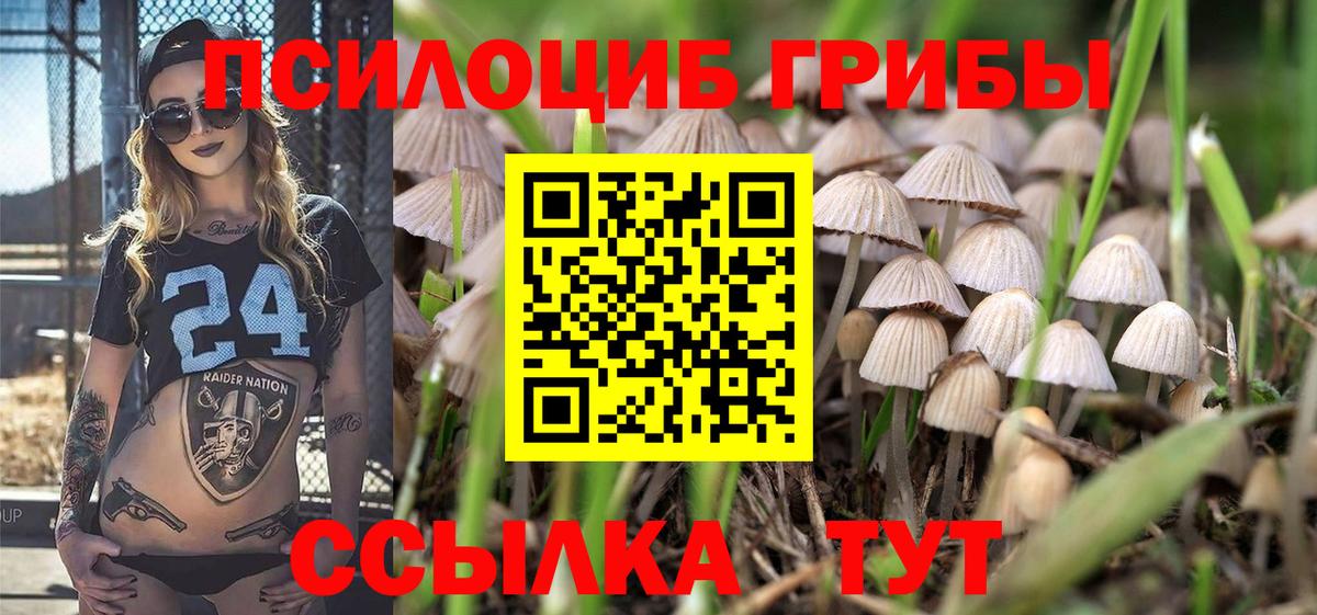 Псилоцибиновые грибы Psilocybine cubensis  Вход с VPN  Кузнецк 